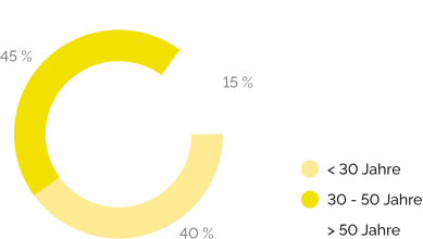 Ein Ringdiagramm zeigt drei Altersgruppen: 45 % sind 30–50 Jahre alt (gelb), 40 % sind unter 30 Jahre alt (hellgelb) und 15 % sind über 50 Jahre alt (weiß). Legende für Farbcodierung und Altersgruppen enthalten.